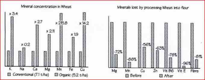 USDA published a report of its findings on diet, Waternet Epping
